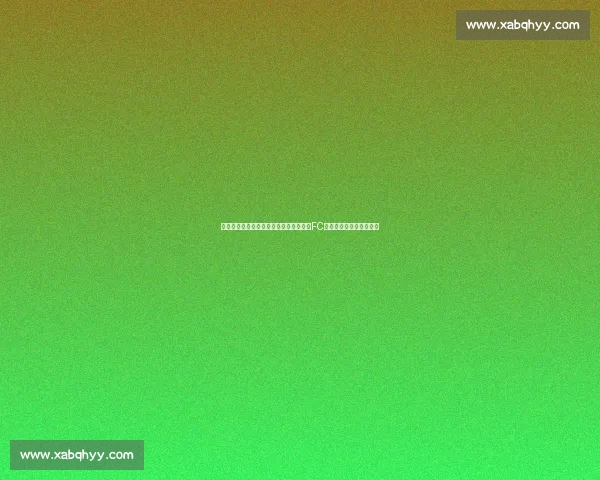从攻防数据到临场调整解析申花对阵东京FC胜负关键走势与战术博弈