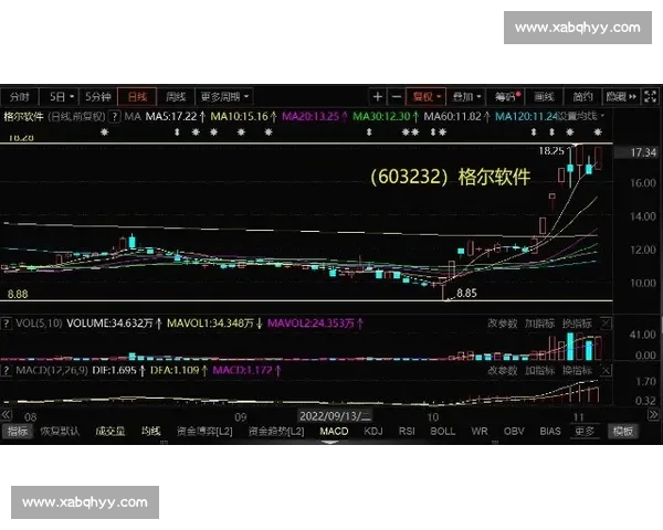 上港对阵重庆激战前瞻实力碰撞走势分析与看点解读全景透视焦点赛 上港对阵重庆激战前瞻实力碰撞走势分析与看点解读全景透视焦点赛